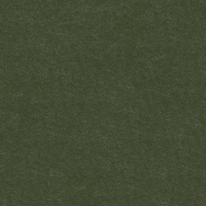 Campione di texture in feltro colore forest moss