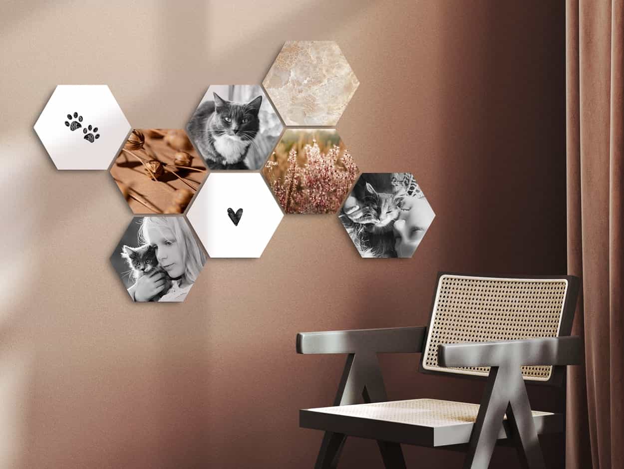Shapes with images of cats