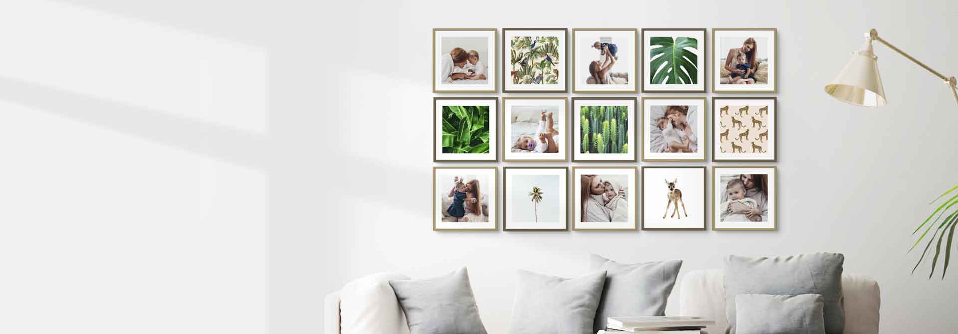Polymer Frames