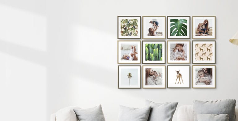 Polymer Frames